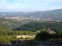 Best offers for Papasol Atapuerca